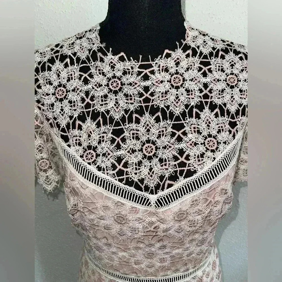 🌷 Host Pick 🌷 NWT! SAYLOR Lillie Dress in Ivory and Blush - Size Large - Picture 6 of 10